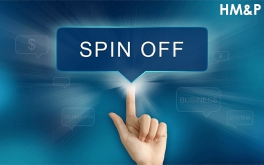 Detailed guidance on documents and procedures for separation of companies in Vietnam